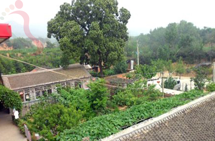 北京延庆区柳沟民窑农家院 - 图片2