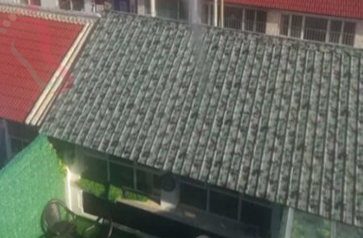 北京延庆区龙庆峡铁友农家院（市级） - 图片2