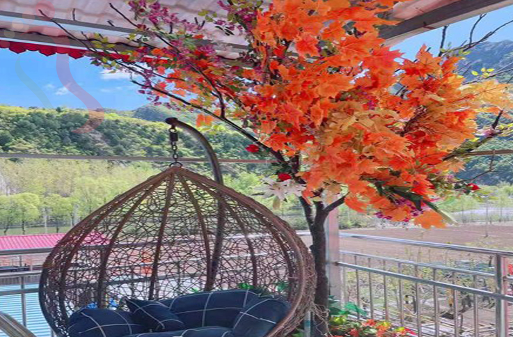 北京延庆区百里画廊欢乐农家院 - 图片3