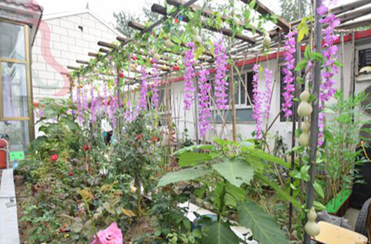 北京延庆区玉渡山来琴轩农家院 - 图片4