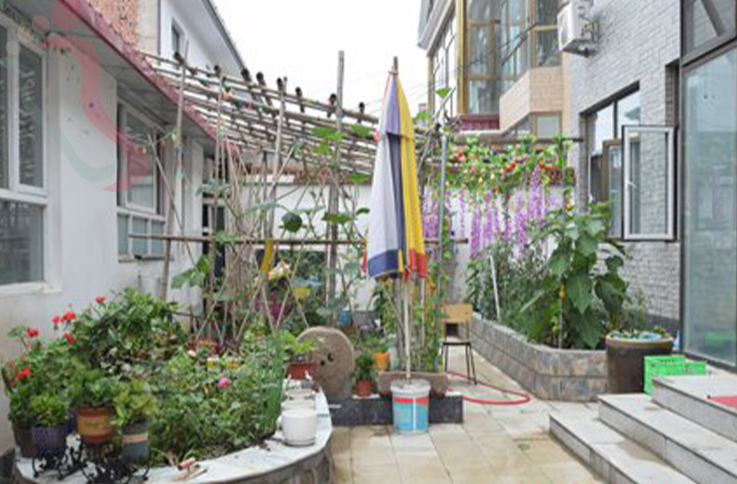 北京延庆区玉渡山来琴轩农家院 - 图片2