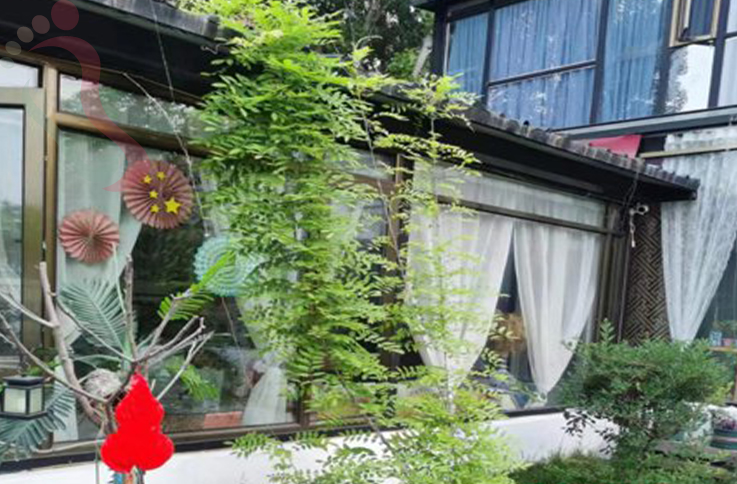 北京顺义区焦庄户梅兰小筑民宿 - 图片1