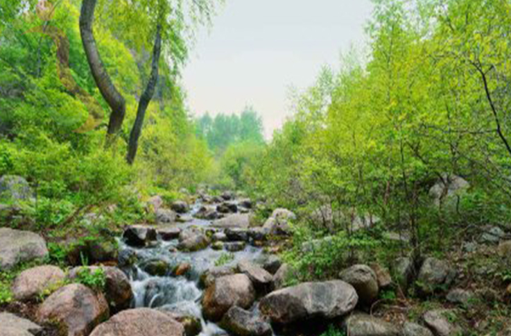北京延庆区玉渡山来琴轩农家院 - 周边游玩