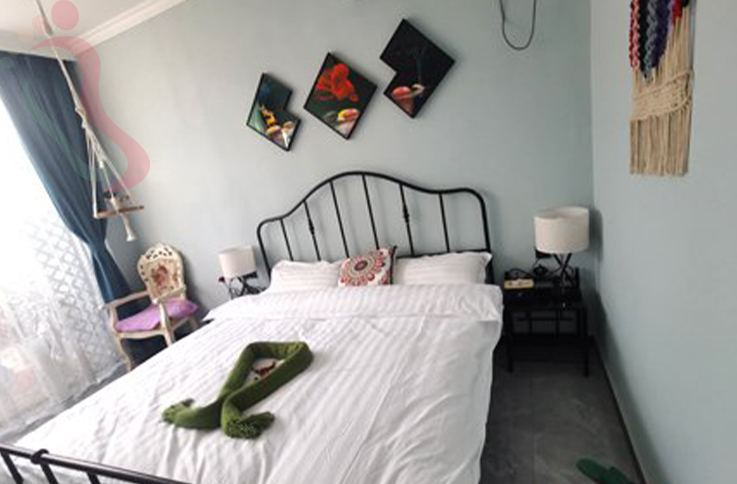 北京顺义区焦庄户梅兰小筑民宿房间图片1