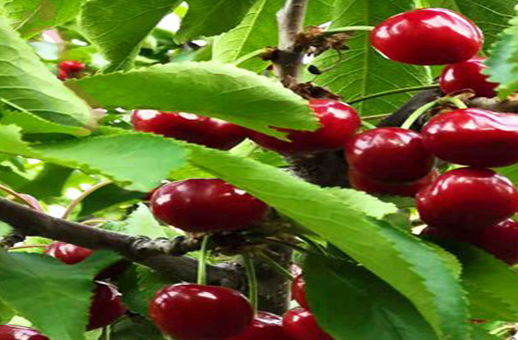 北京房山区五渡德贤栖会所 - 图片2