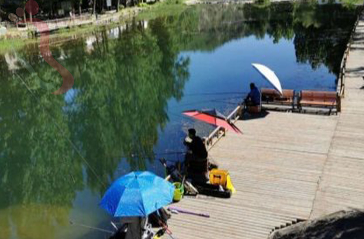  北京怀柔区白河湾独一味农家民宿-怀柔旅游白河湾景区怀柔农家院白河湾民宿 - 周边游玩