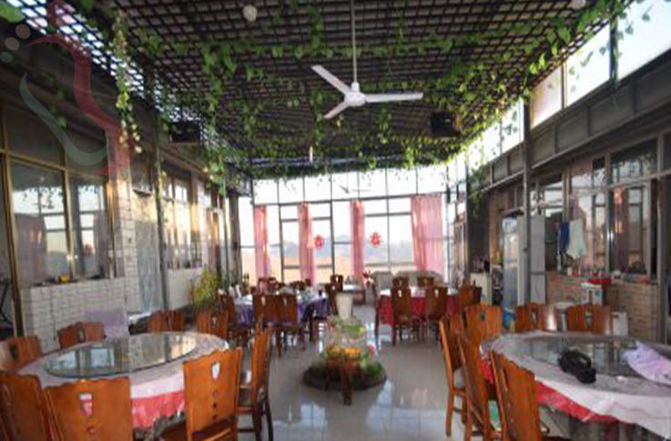 天津蓟州区青山岭老和烧烤农家院 - 图片3