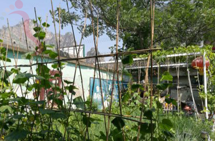 北京房山区十渡艳英农家院 - 民宿介绍
