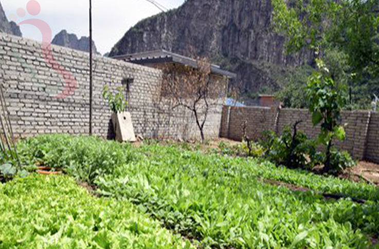 北京房山民宿|十渡民宿|来吧农家院-京郊游,十渡旅游,孤山寨一线天-民宿汇 - 图片4