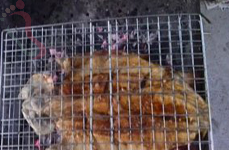 北京房山区十五渡李勇农家院 - 餐饮介绍