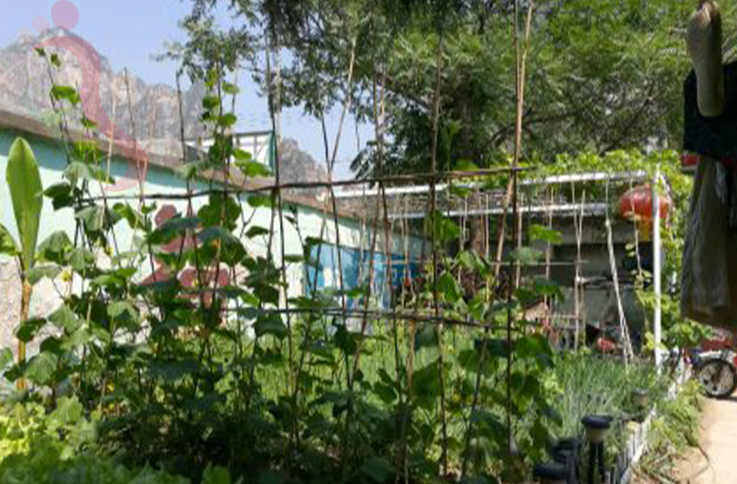 北京房山区十渡艳英农家院 - 民宿介绍