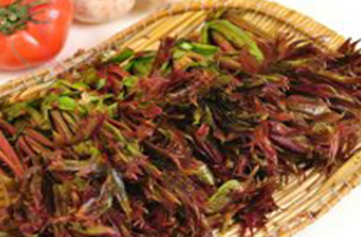 北京房山区十一渡蓝漪山庄 - 餐饮介绍