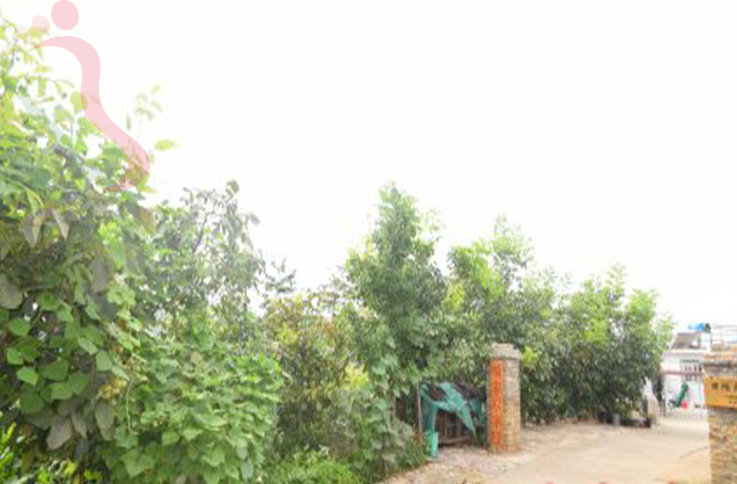 天津蓟州区西井峪咱家农家院 - 图片4