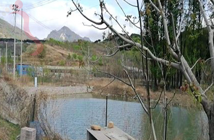 天津蓟州区车神架海硕农家院 - 民宿介绍