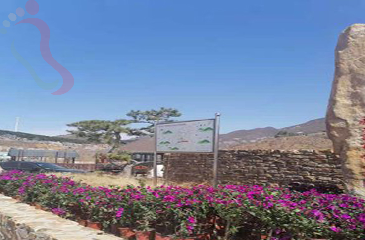 天津蓟州区石龙峡春华农家院 - 图片2