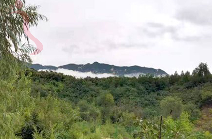天津蓟州区八仙山龙凤山庄 - 民宿介绍