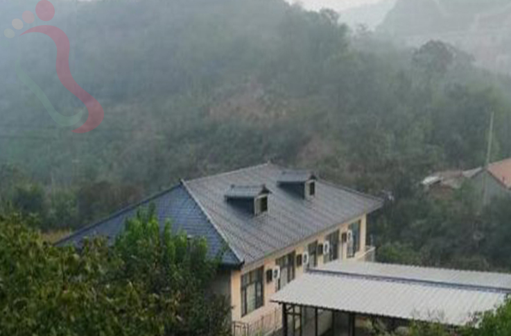 天津蓟州区九龙山伟瑞农家院 - 民宿介绍