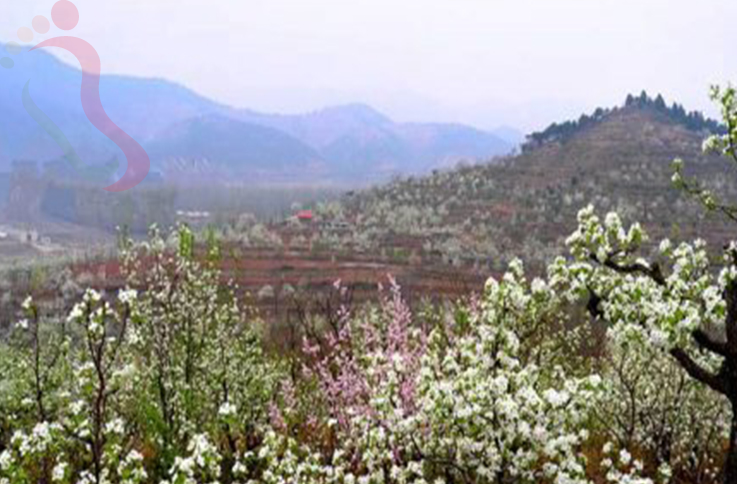 天津蓟州区八仙山和美农家院 - 周边游玩