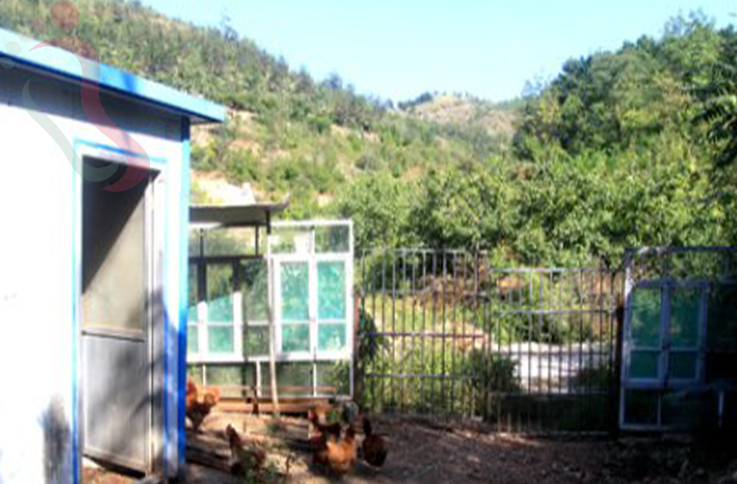 天津蓟州区溶洞东篱南山阁 - 图片1