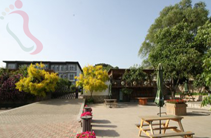 天津蓟州区梨木台沐歌山房 - 图片3