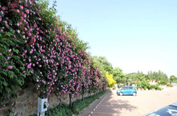 天津蓟州区梨木台沐歌山房 - 图片4