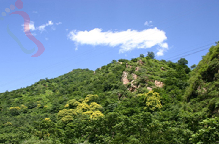 天津蓟州区八仙山顺兴隆农家院 - 周边游玩