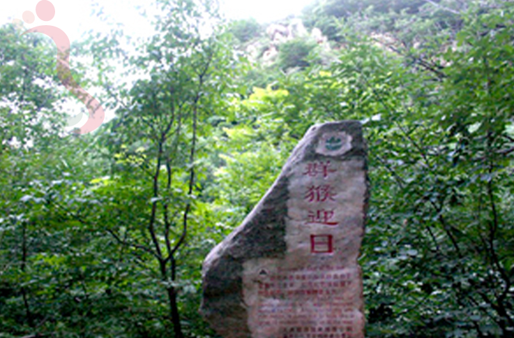 天津蓟州区八仙山艺朦农家院 - 周边游玩