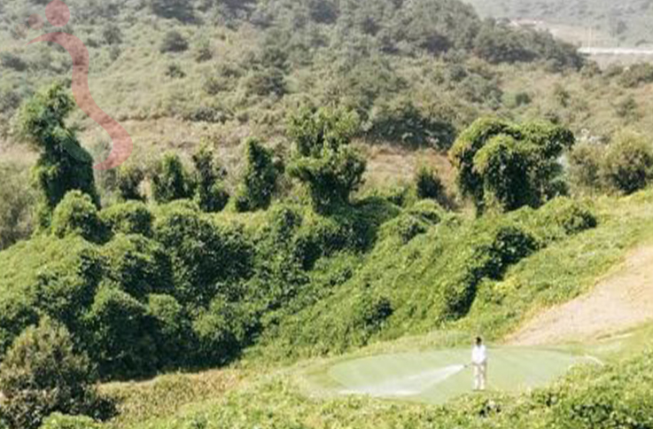 天津蓟州区九龙山伟瑞农家院 - 周边游玩