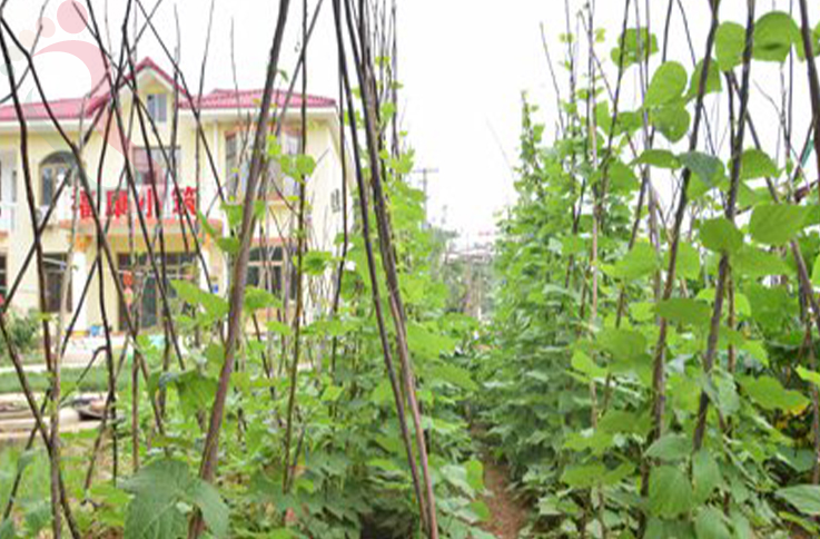 天津蓟州区溶洞福康小筑农家院 - 图片3