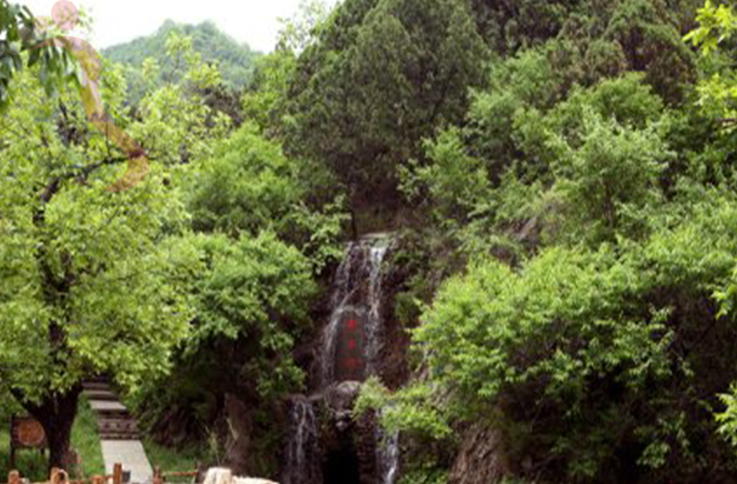 天津蓟州区九龙山伟瑞农家院 - 民宿介绍