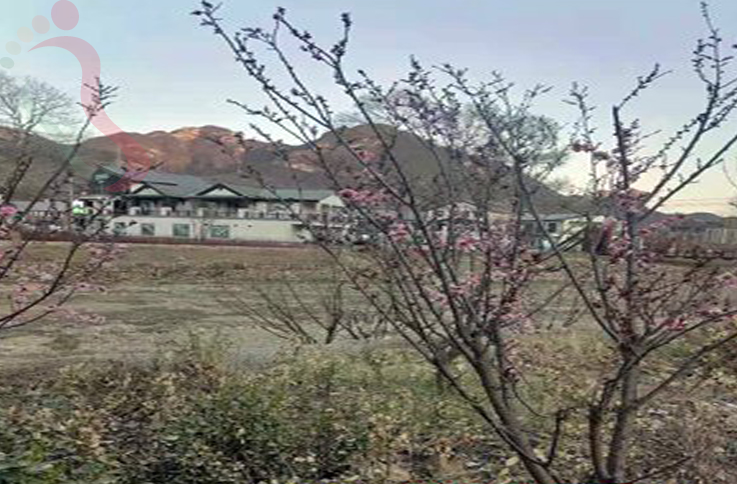 天津蓟州区石龙峡春华农家院 - 图片3