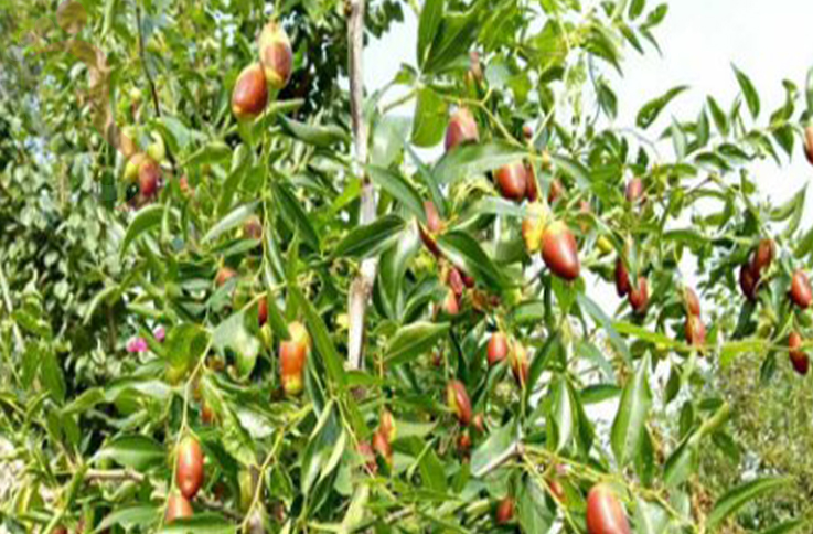 天津蓟州区溶洞东篱南山阁 - 图片2