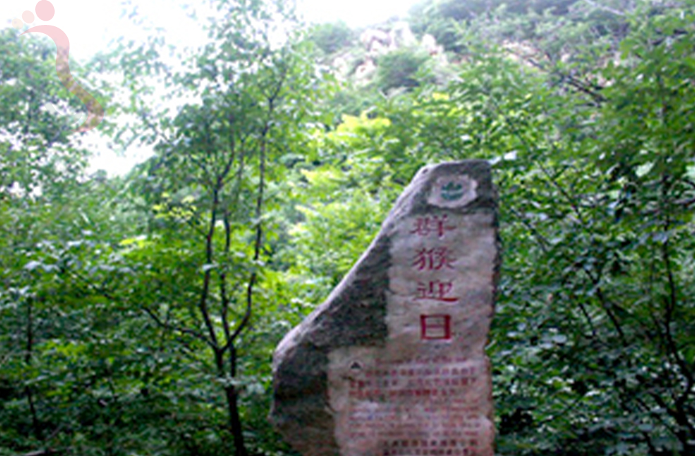 天津蓟州区梨木台四季山庄 - 周边游玩