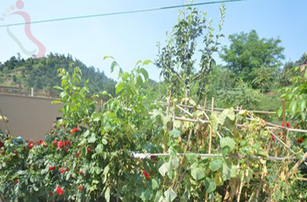 天津蓟州区梨木台正阳农家院 - 图片2