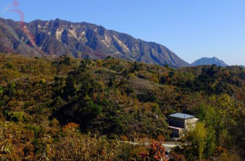 天津蓟州区梨木台大森林农家院 - 周边游玩