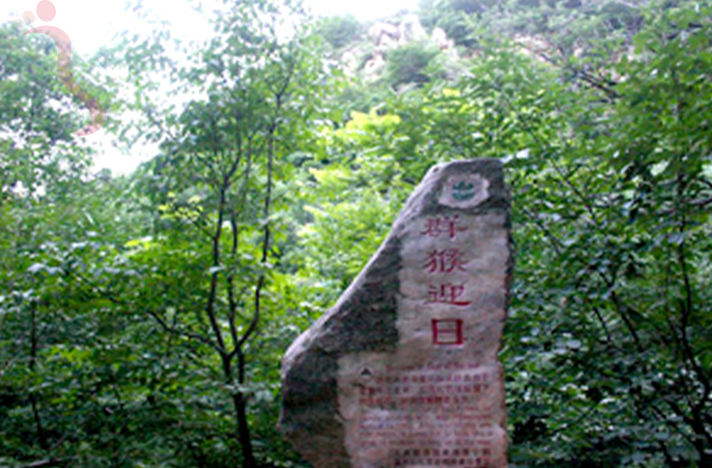 天津蓟州区梨木台正阳农家院 - 周边游玩