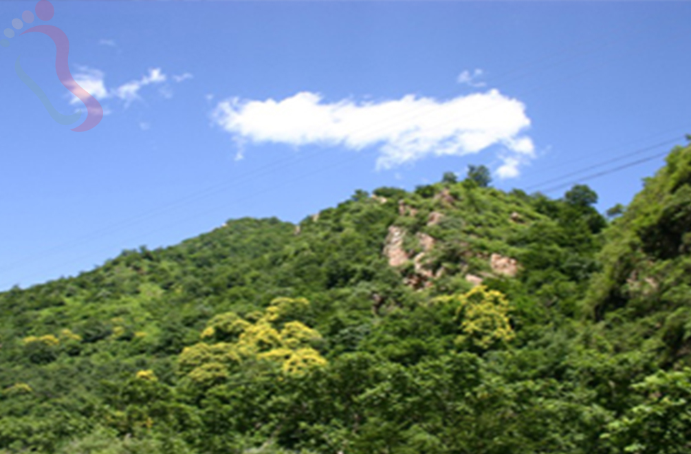 天津蓟州区水岸颐家农家院 - 周边游玩
