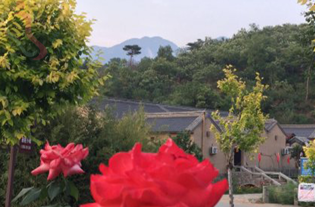 天津蓟州区梨木台沐凤居农家院 - 民宿介绍