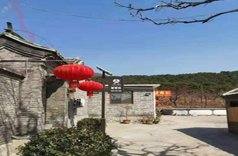 天津蓟州区东山村望青松农家院 - 图片3