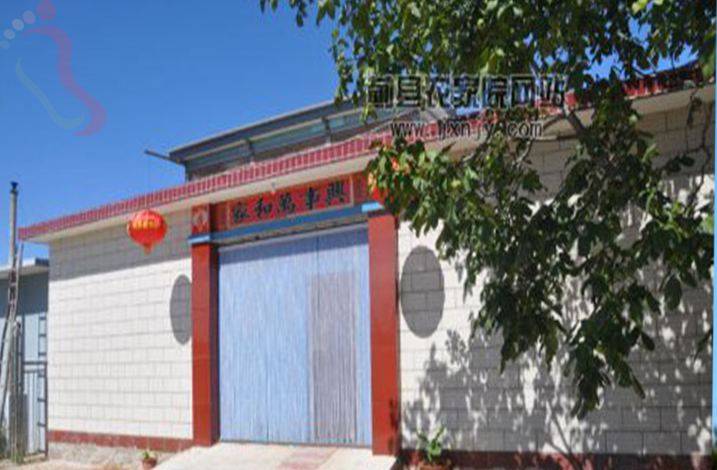 天津蓟州区青山岭高山第一家农家院 - 图片1