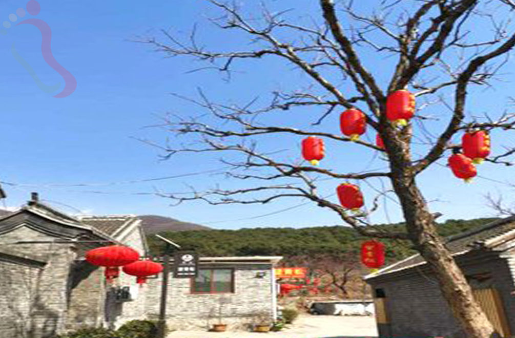 天津蓟州区东山村望青松农家院 - 民宿介绍