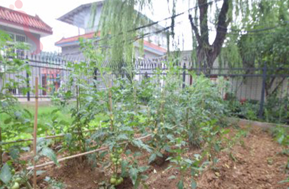 天津蓟州区毛家峪龙寓农家院 - 图片3