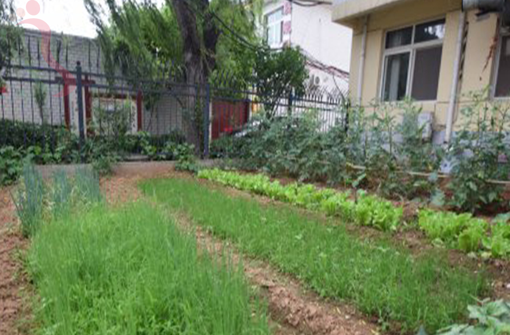 天津蓟州区毛家峪龙寓农家院 - 图片2
