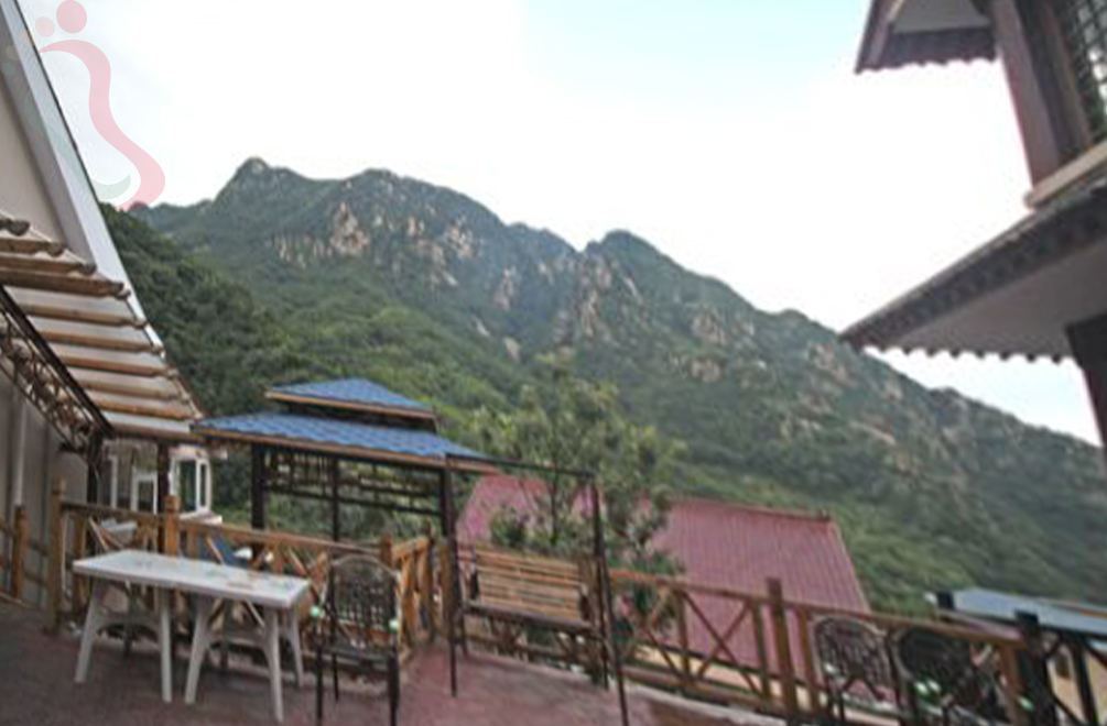 天津蓟州区九山顶明星别墅 - 民宿介绍