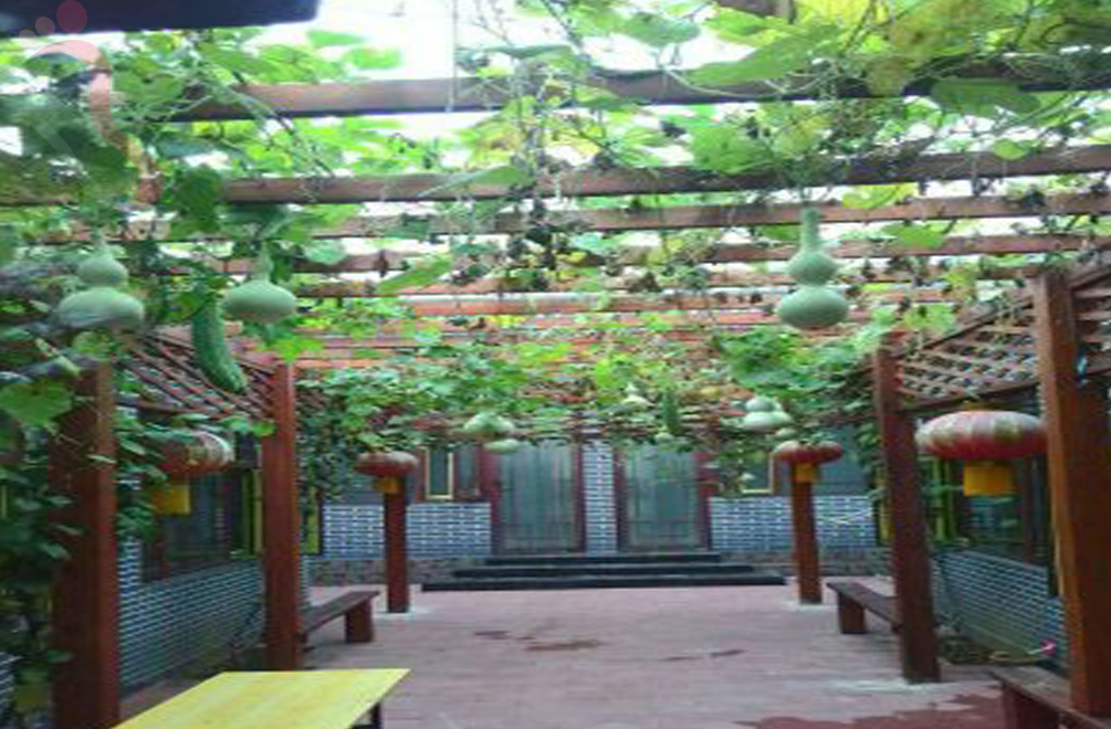 天津蓟州区郭家沟温馨二姐四合院 - 图片1