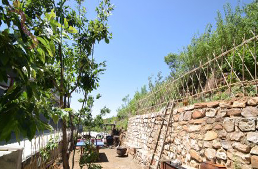 天津蓟州区郭家沟福客来木屋农家 - 图片2