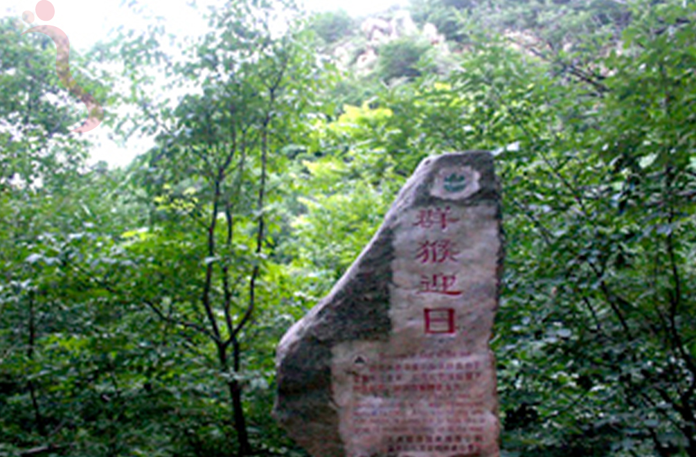 天津蓟州区聚农庄农家院 - 周边游玩