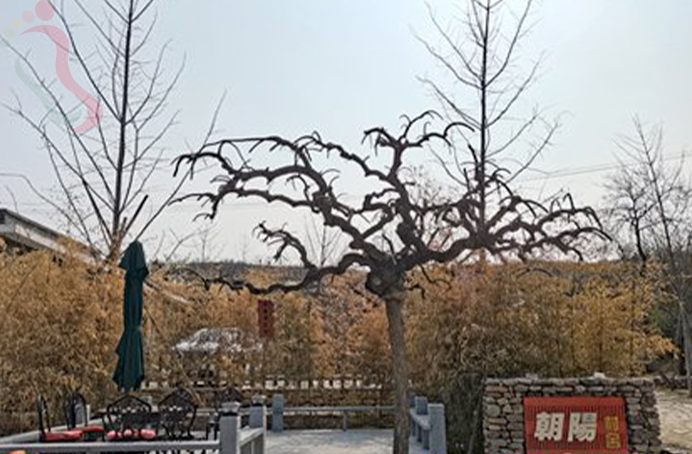 天津蓟州区郭家沟朝陽村舍 - 图片1