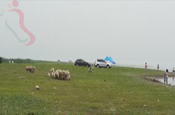 天津蓟州区翠屏湖码头渔家 - 周边游玩