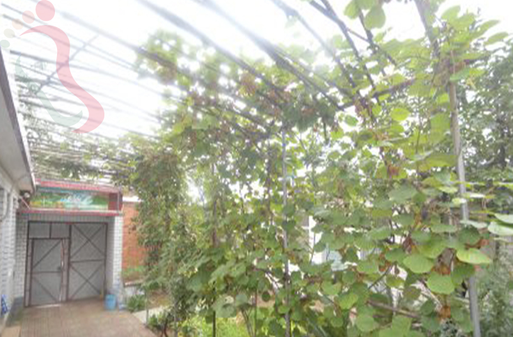 天津蓟州区盘山观美农家院 - 图片4